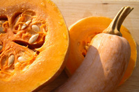 La zucca