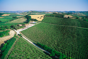 Fattoria Paradiso