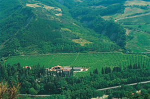 Poderi dal Nespoli